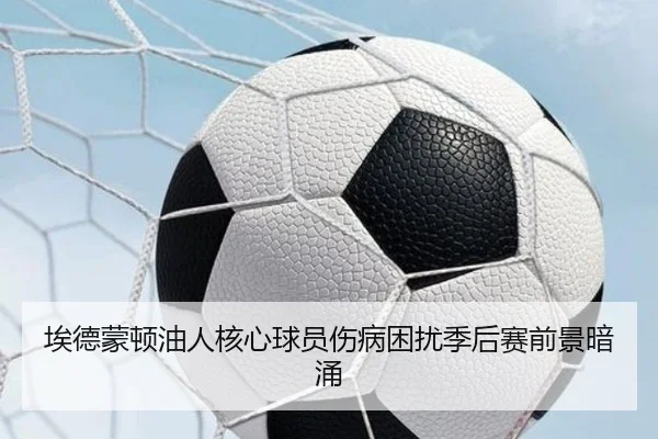 埃德蒙顿油人核心球员伤病困扰季后赛前景暗涌